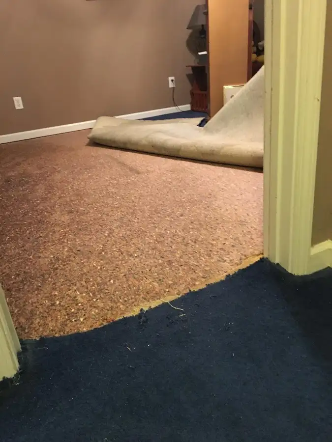 Carpet pad removal revealing water damage during Water Mitigation Services in Warrenton