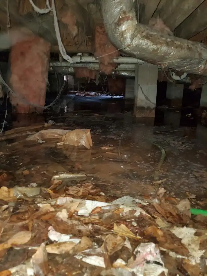 Crawl space flood assessment for Leak Detection & Repair in Warrenton