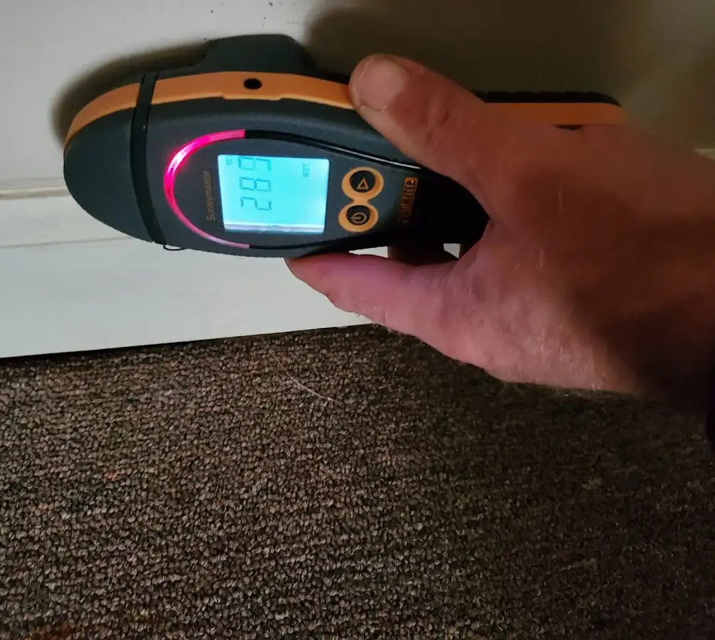 Moisture detection at baseboard during Sewage Cleanup & Sanitation in Warrenton